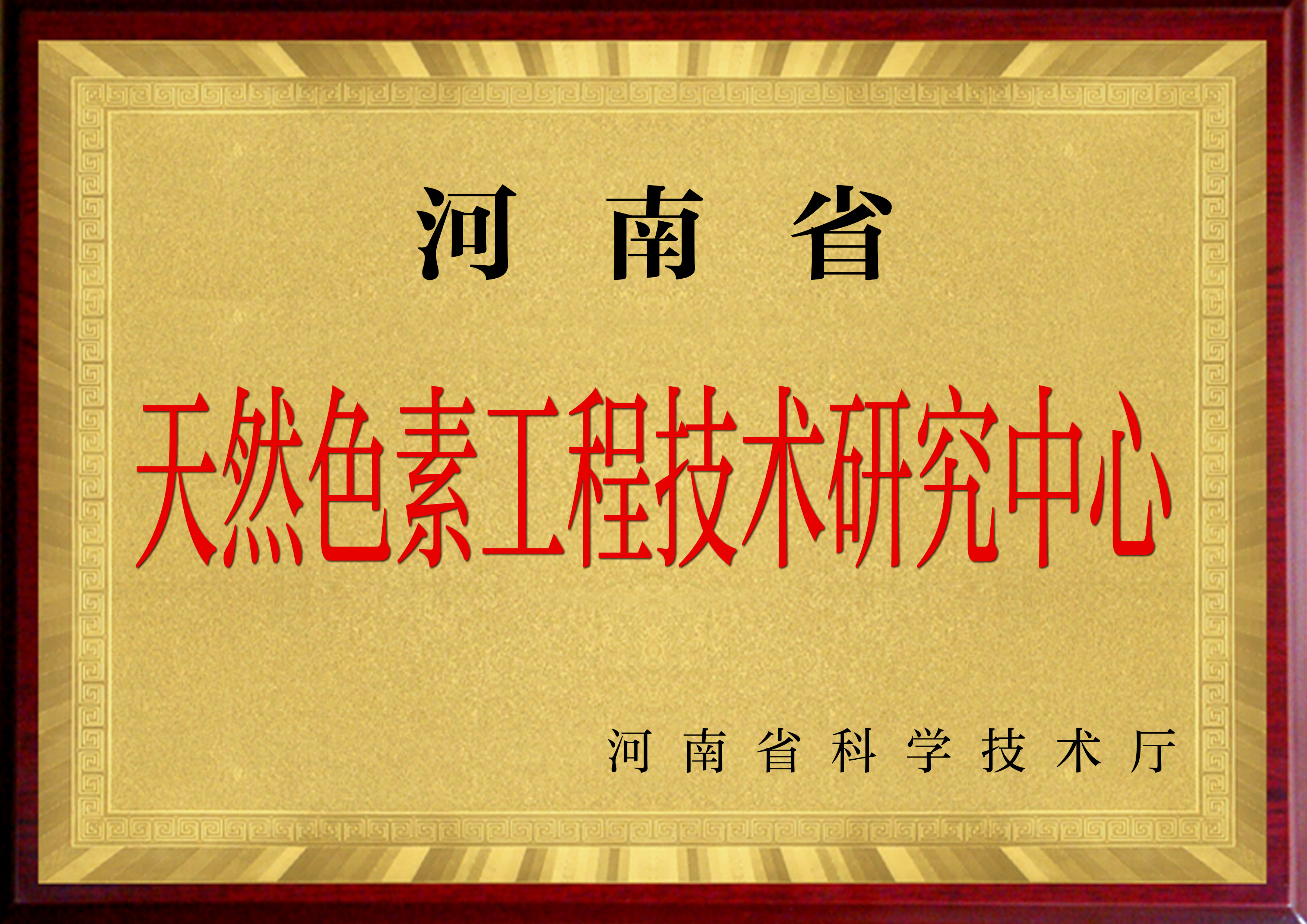 河南省天然色素工程技術研究中心