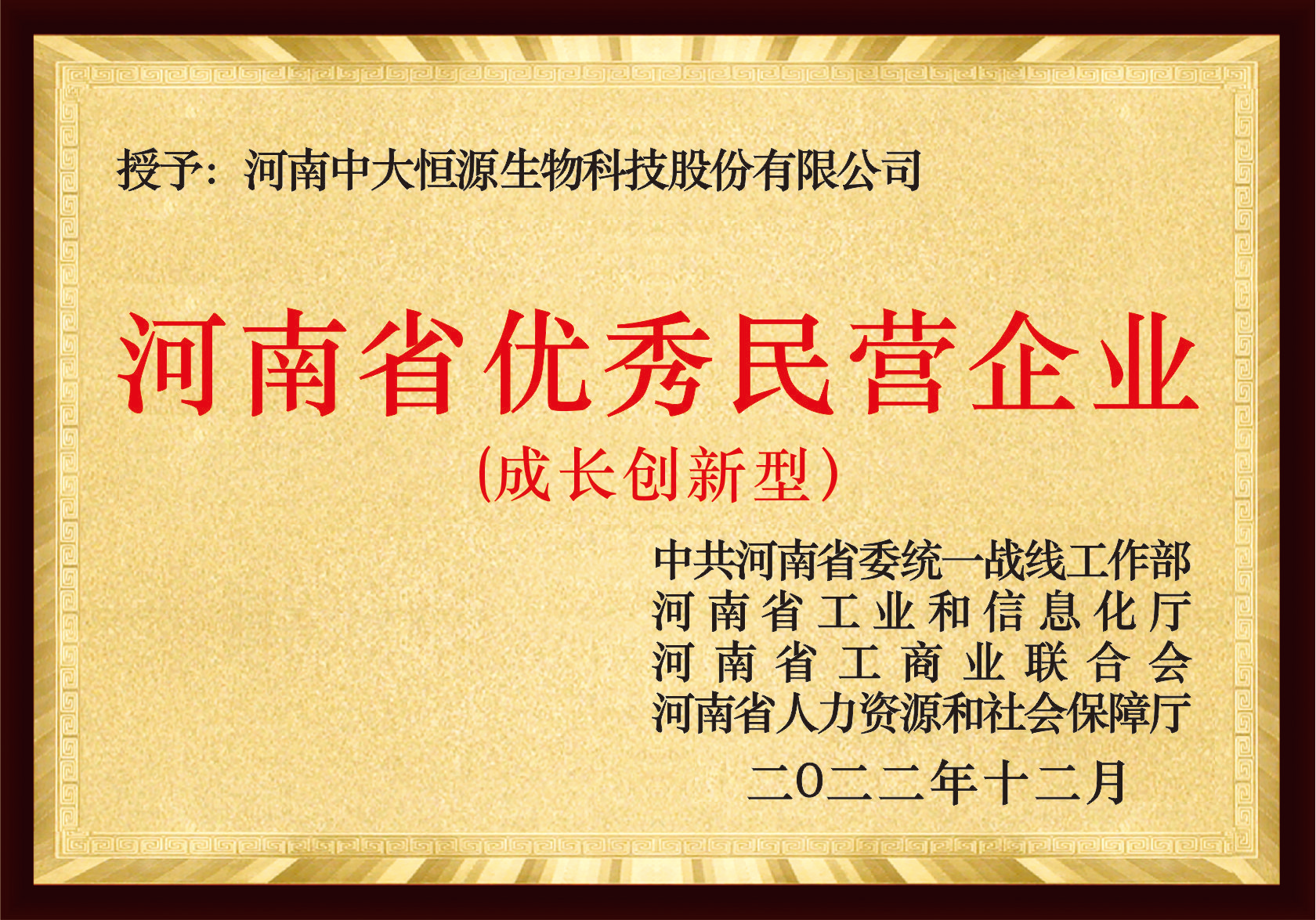 河南省優秀民營企業